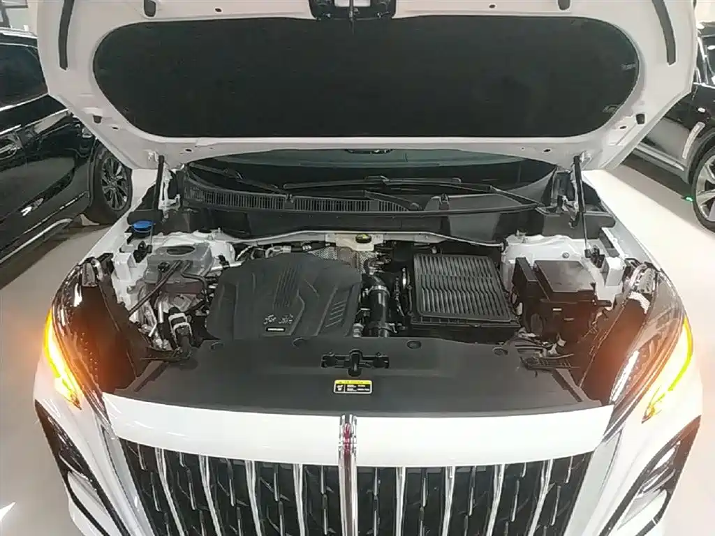 Hongqi HS3 PHEV 2024 PHEV 115km Power Edition фото 20