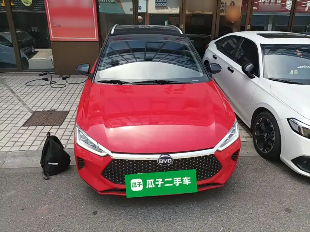 BYD e2 2020 Upgraded Long Range Luxury фото 3