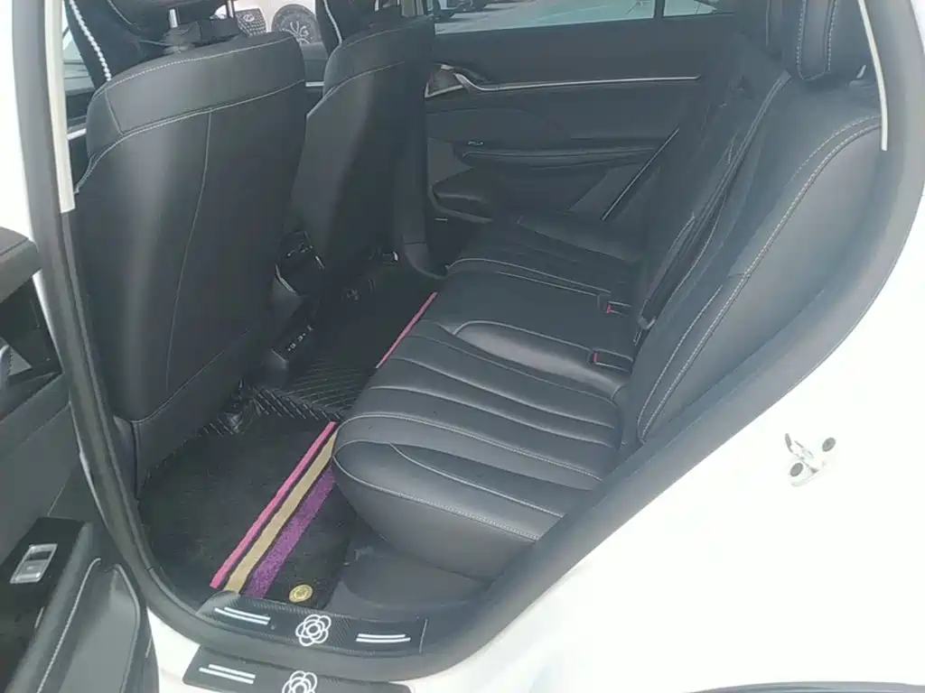 Roewe RX5 MAX 2024 2022 1.5T Auto Promising Luxury Edition