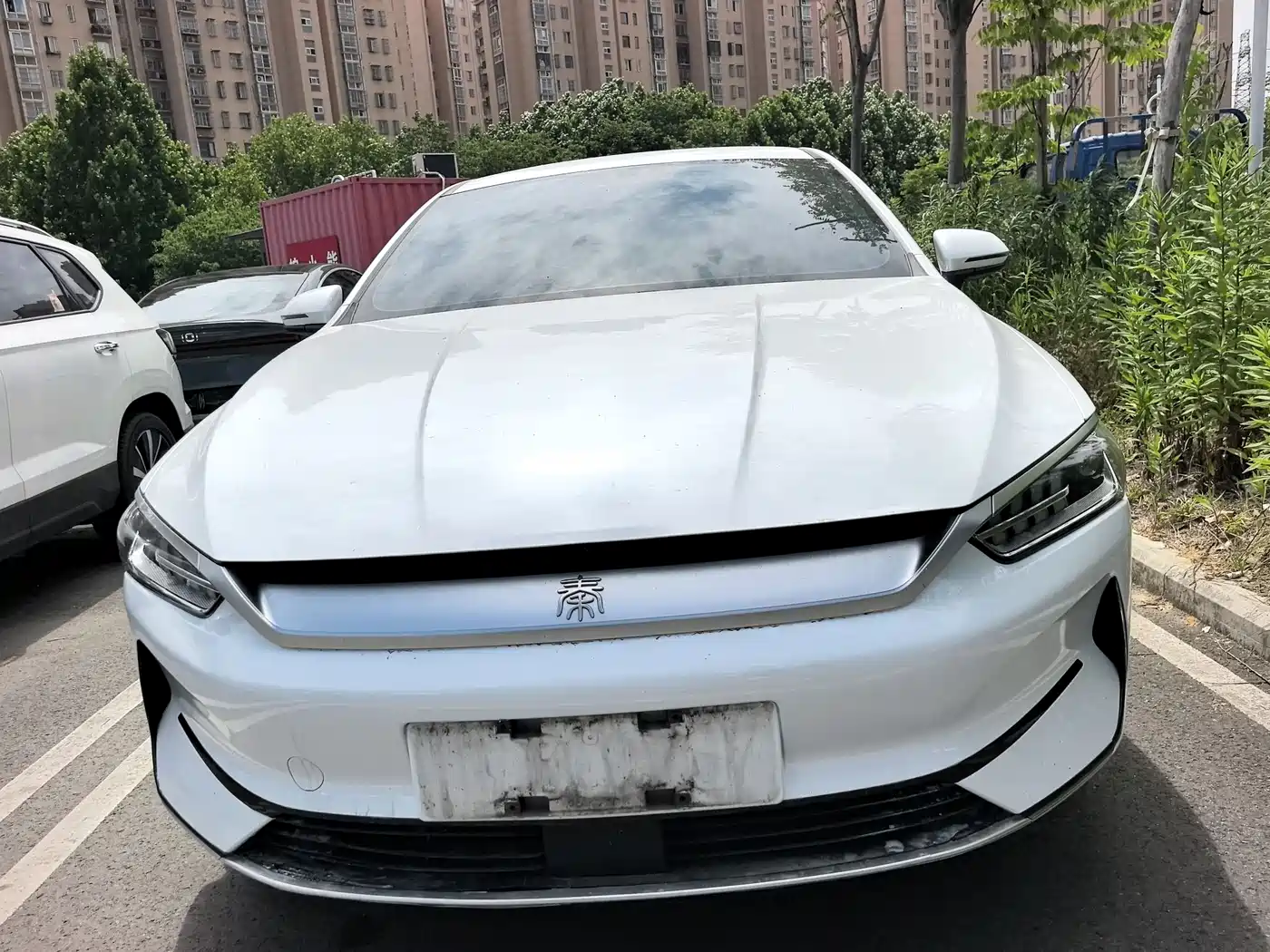BYD Qin PLUS 2023 Champion Edition EV 510KM Leading Type фото 2