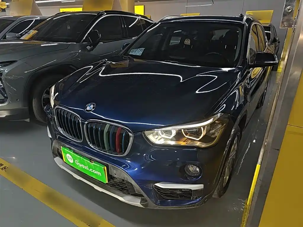 BMW X1 New Energy 2019 xDrive25Le Range Upgrade Edition фото 2