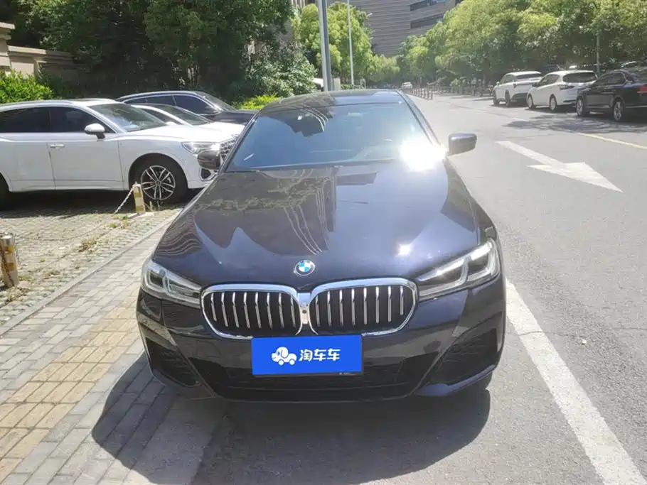 BMW 5 Series 2021 530Li Premium M Sport Package фото 2