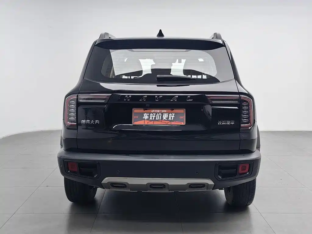 Фото 4 - Haval Big Dog