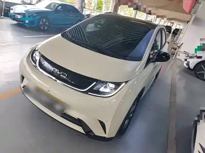 BYD Dolphin