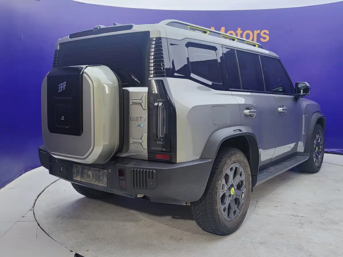 Jetour Shanhai T2 2025 2025 Model C-DM 206KM 4WD Wilderness Edition