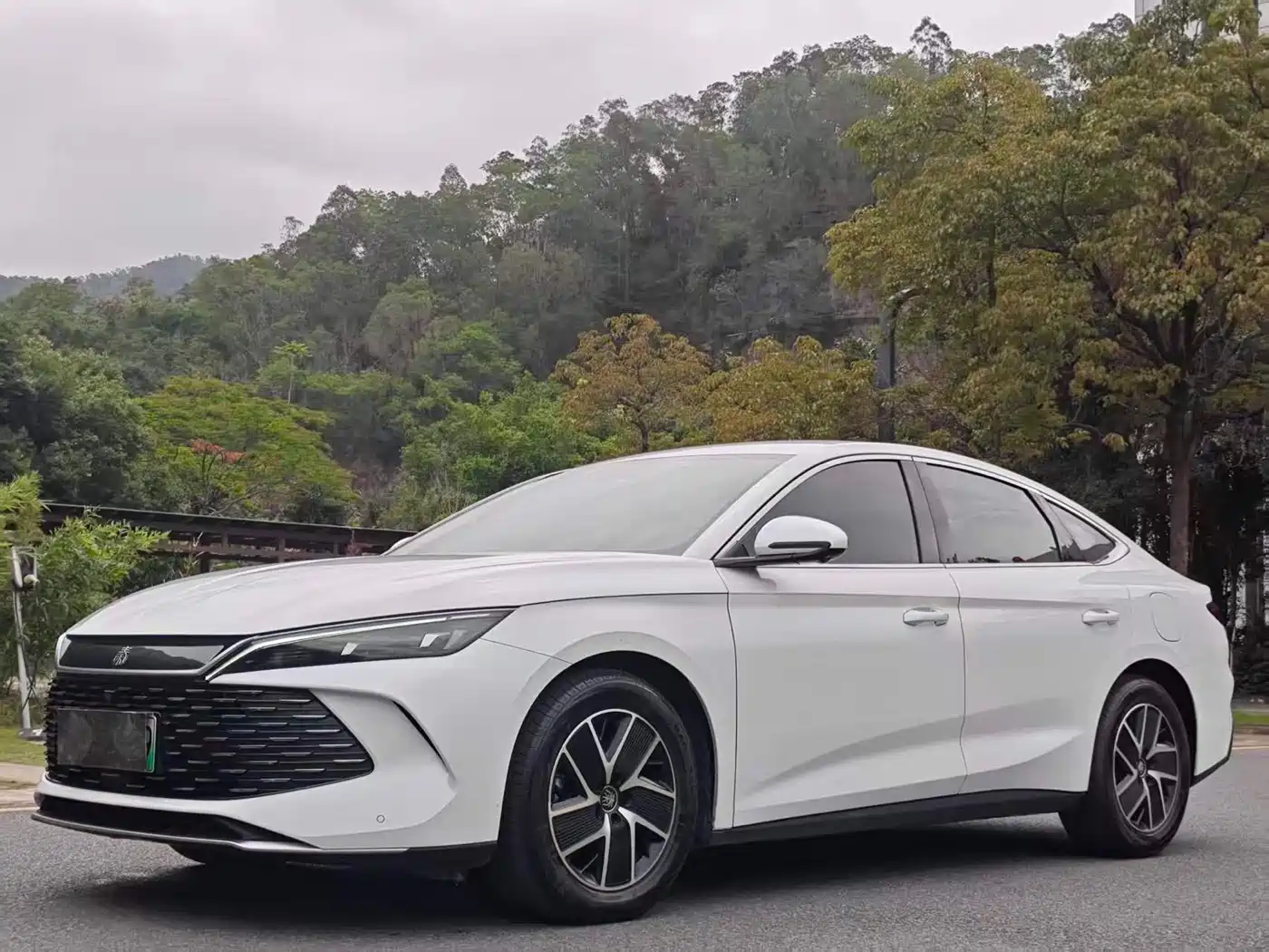 BYD Qin L 2024 DM-i 80KM Leading Edition