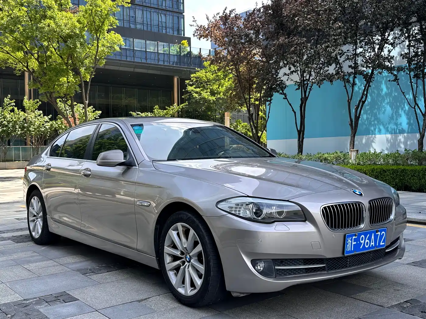 BMW 5 Series 2013 530Li Leadership фото 3