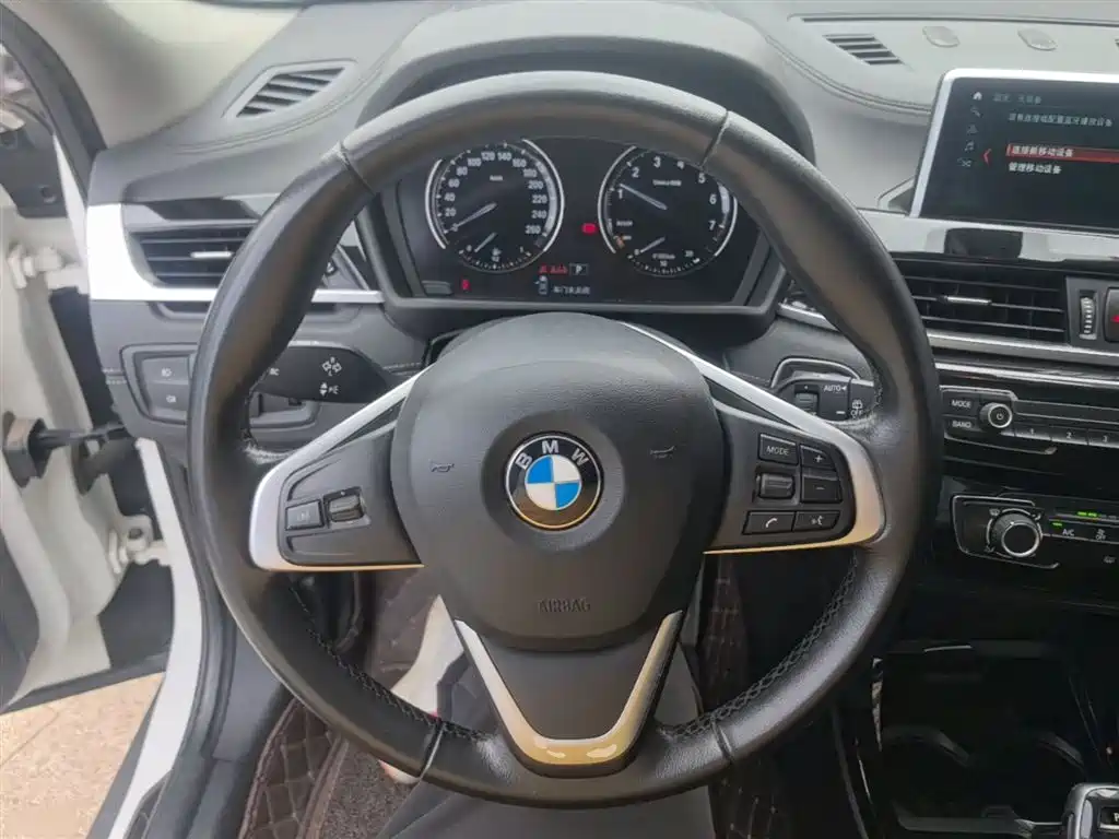 BMW X2 (Import) 2019 sDrive20i M Off-Road Package China VI фото 11