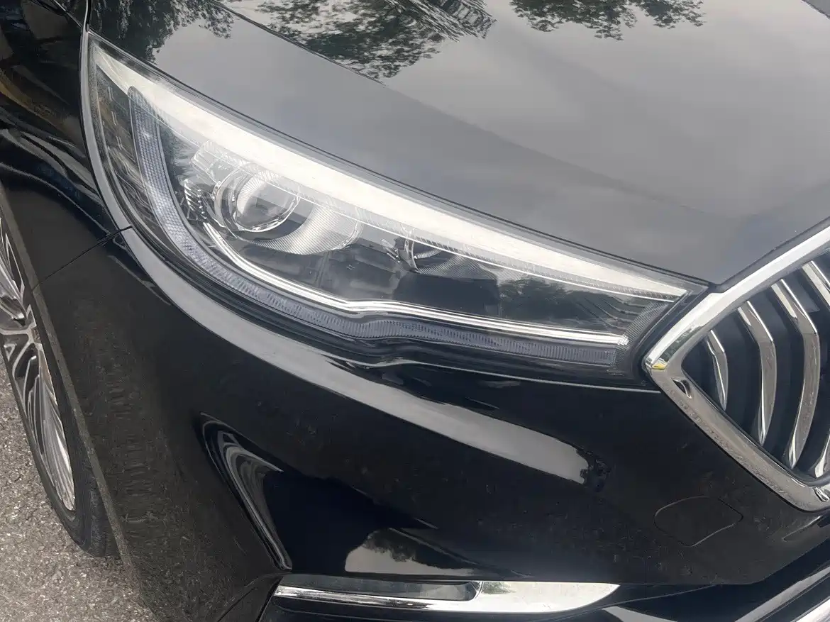 Фото 5 - Hongqi H5