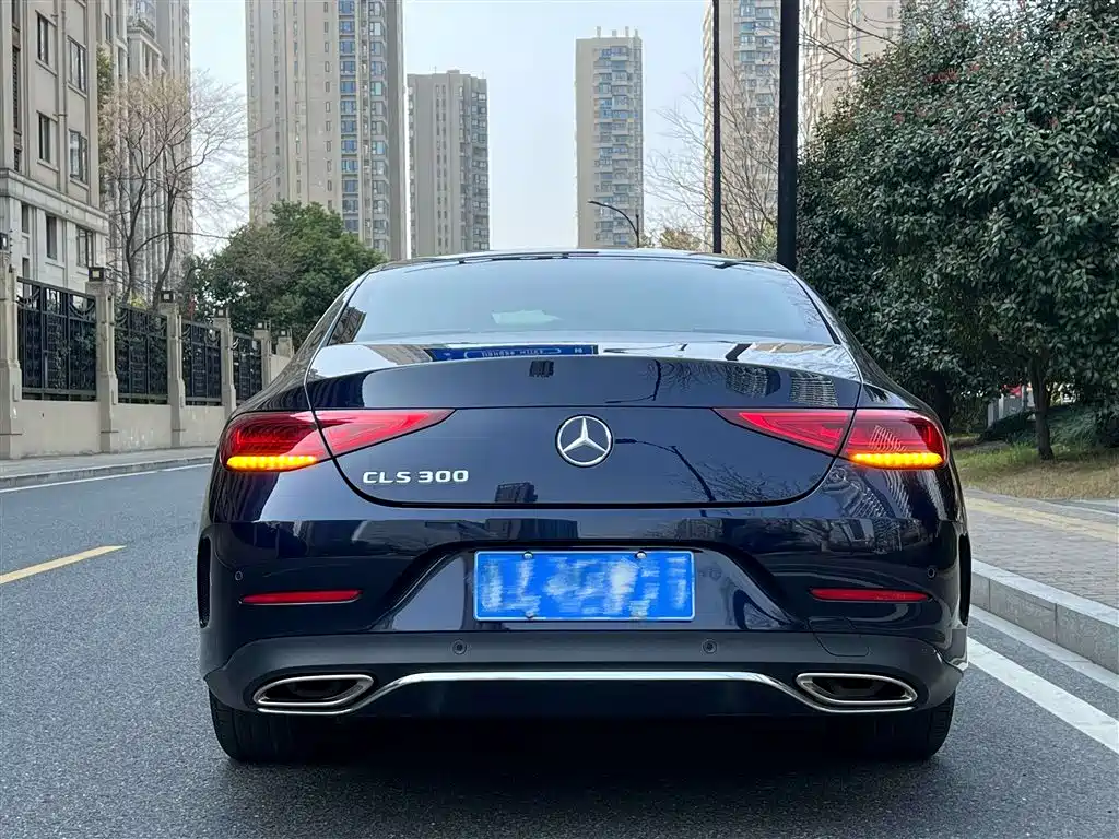 Mercedes-Benz CLS 2020 CLS 300 Dynamic фото 4