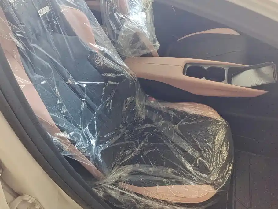 BYD Seagull 2026 2025 Smart Drive Edition 305km Vitality Version