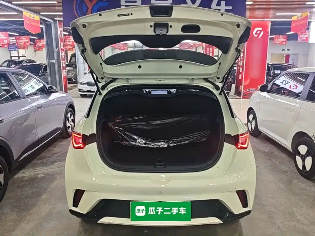 BYD Dolphin 2026 2025 420km Freedom Edition