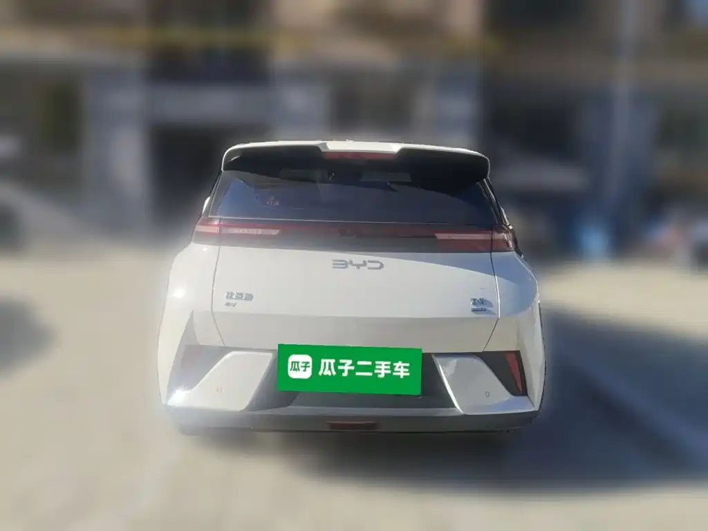 BYD Seagull 2026 2025 Smart Drive Edition 305km Freedom Version