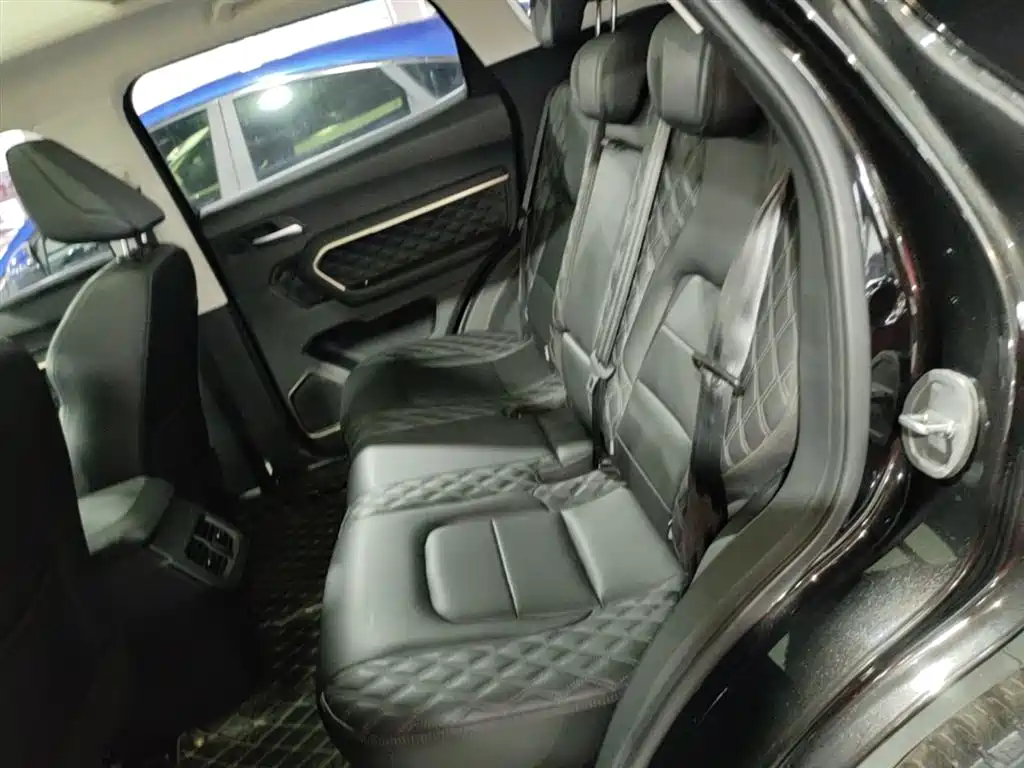 Haval H6 2020 2.0GDIT Automatic Platinum Champion Edition фото 17