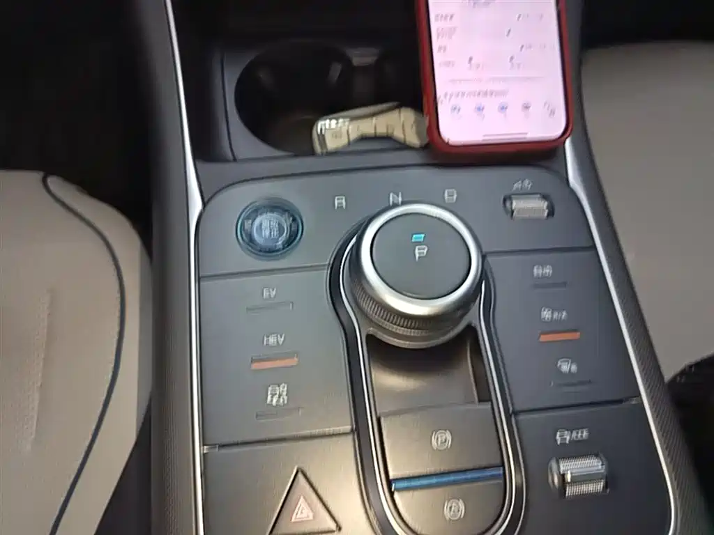 BYD Destroyer 05 2024 Glory Edition DM-i 55KM Luxury фото 14