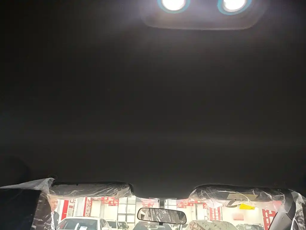 BYD Dolphin 2026 2025 420km Freedom Edition