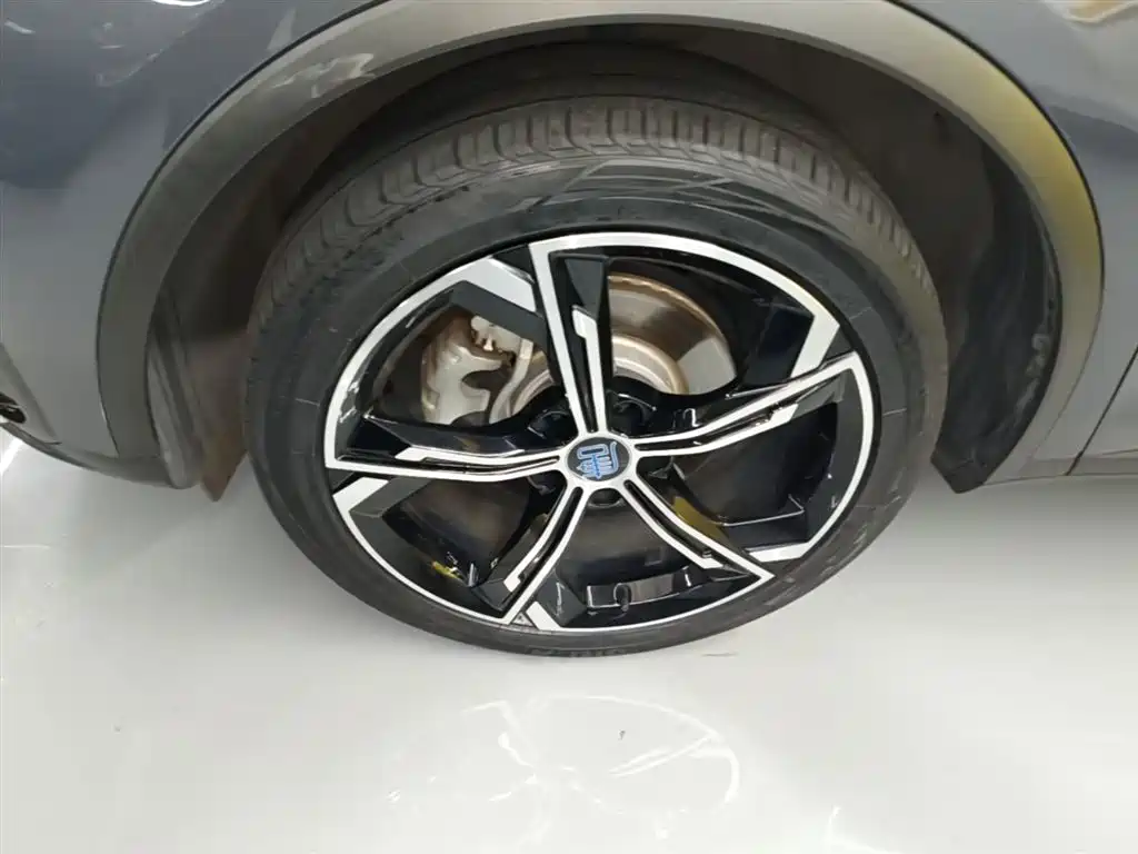 BYD Tang New Energy 2021 DM-i 112KM Honor фото 23