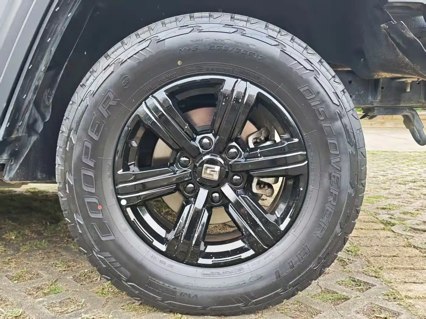 Tank 300 2023 Off-Road Edition 2.0T Conqueror фото 8