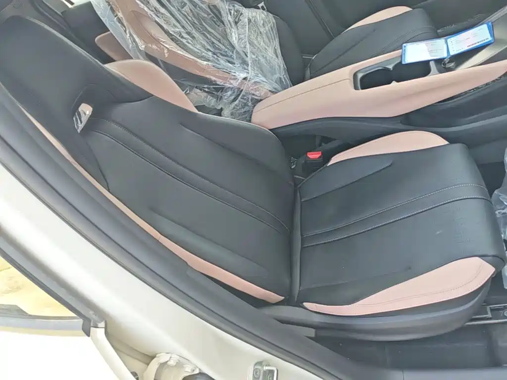 BYD Seagull 2026 2025 Smart Drive Edition 305km Vitality Version