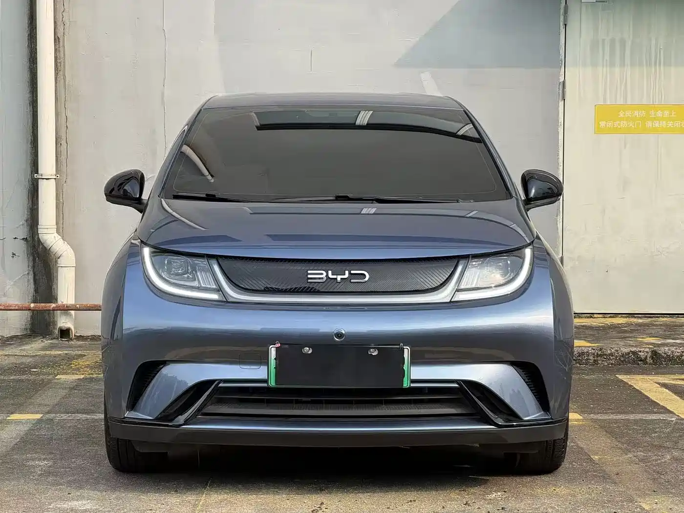 BYD Dolphin 2025 2025 420km Freedom Edition