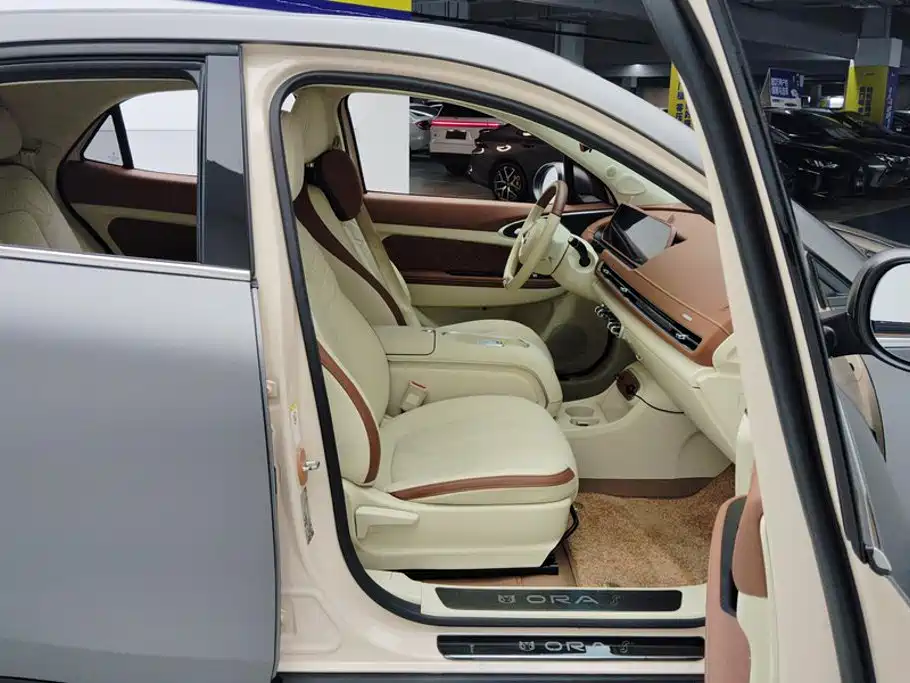 Ora Good Cat 2023 2023 401km Standard Range Luxury LFP