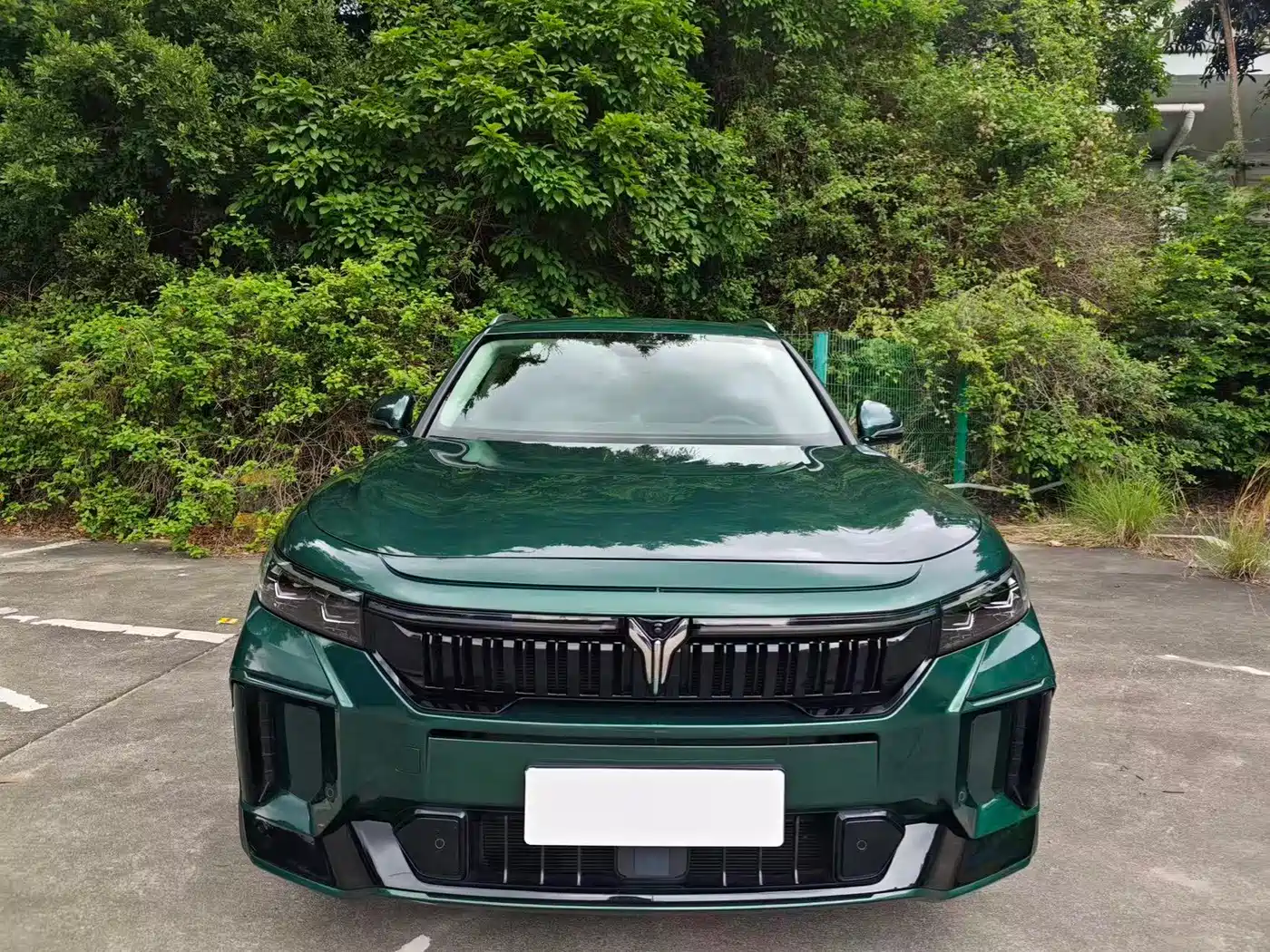 Voyah Auto VOYAH FREE 2024 Ultra Long Range Intelligent Driving Edition фото 5