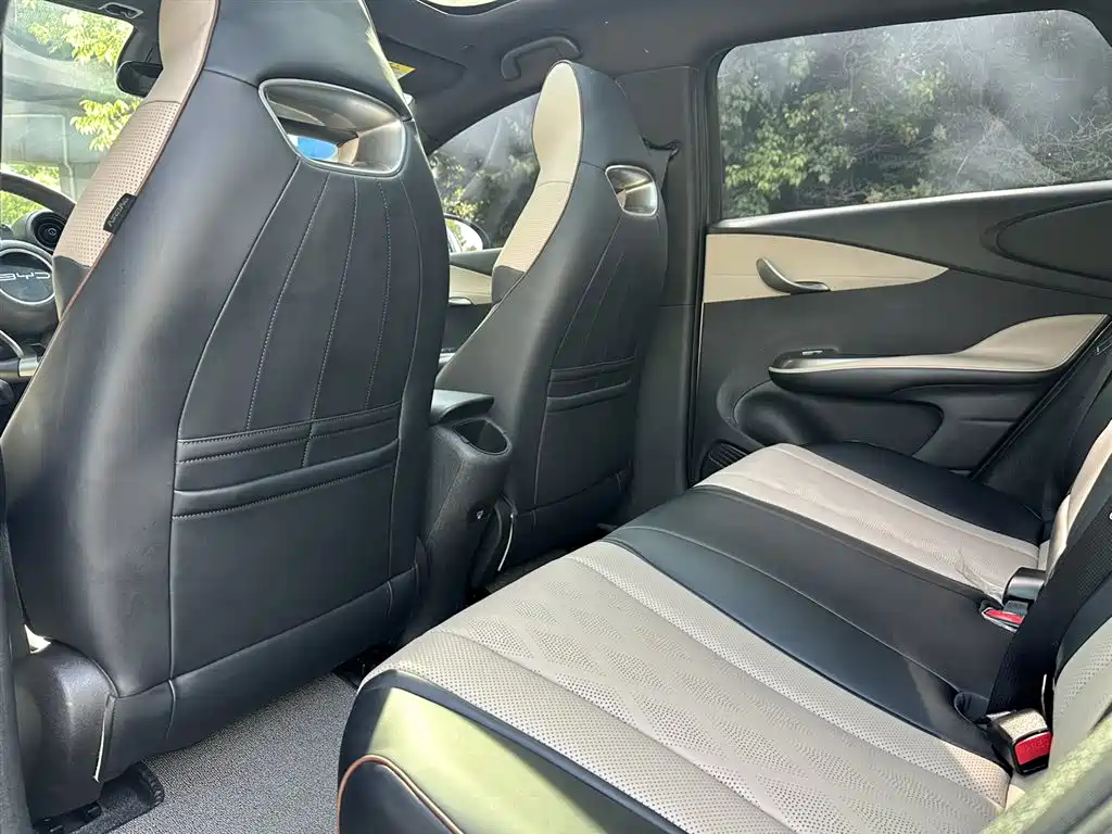 BYD Dolphin 2023 420km Fashion Edition фото 12