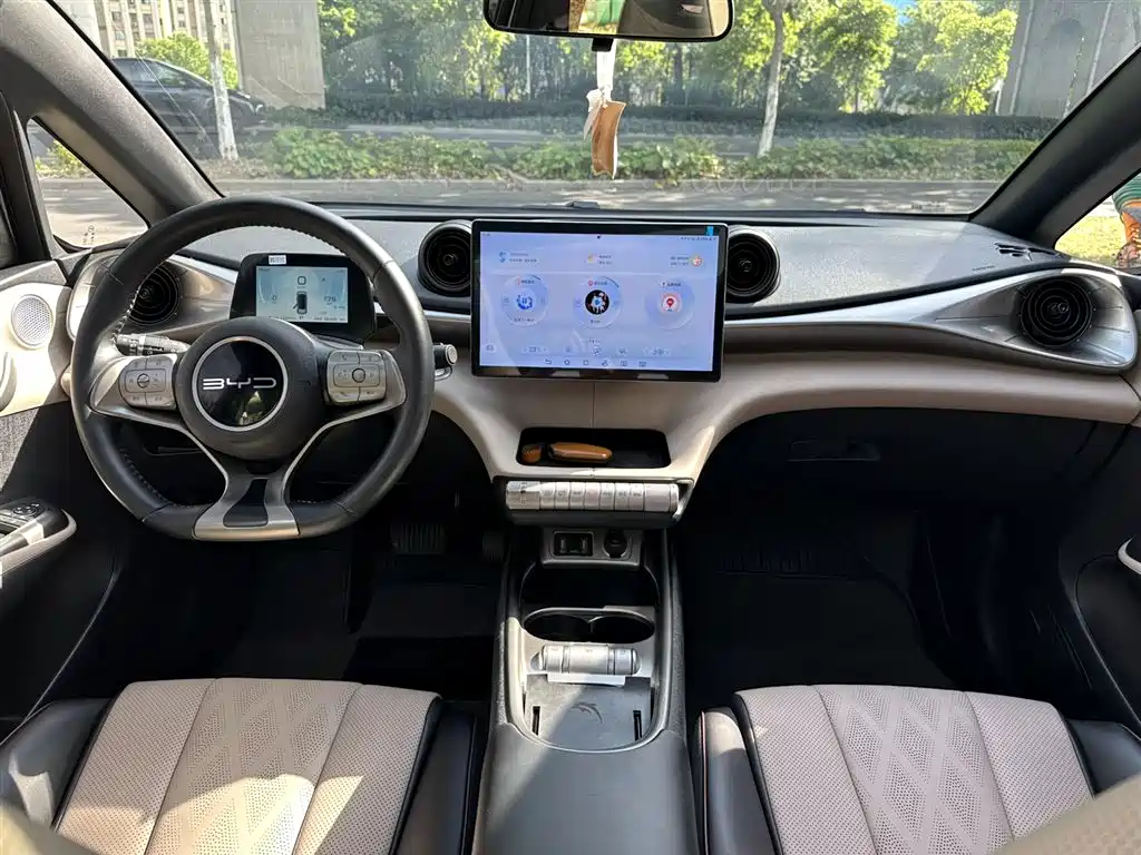 BYD Dolphin 2023 420km Fashion Edition фото 8
