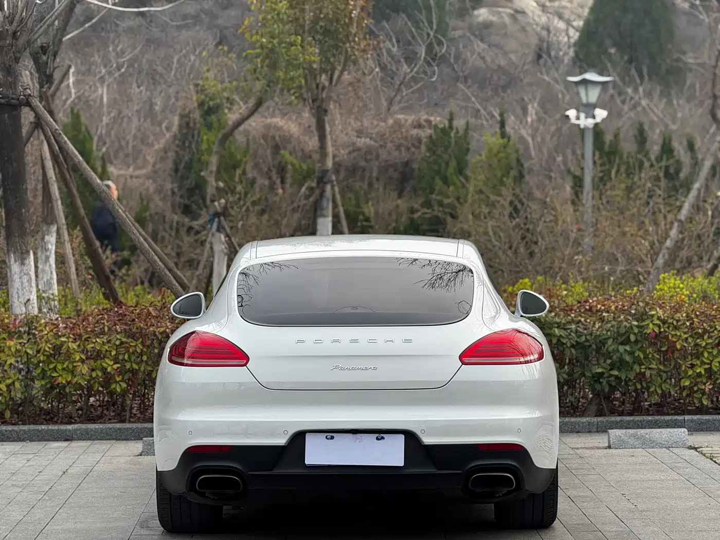 Porsche Panamera 2014 Panamera 3.0T фото 5