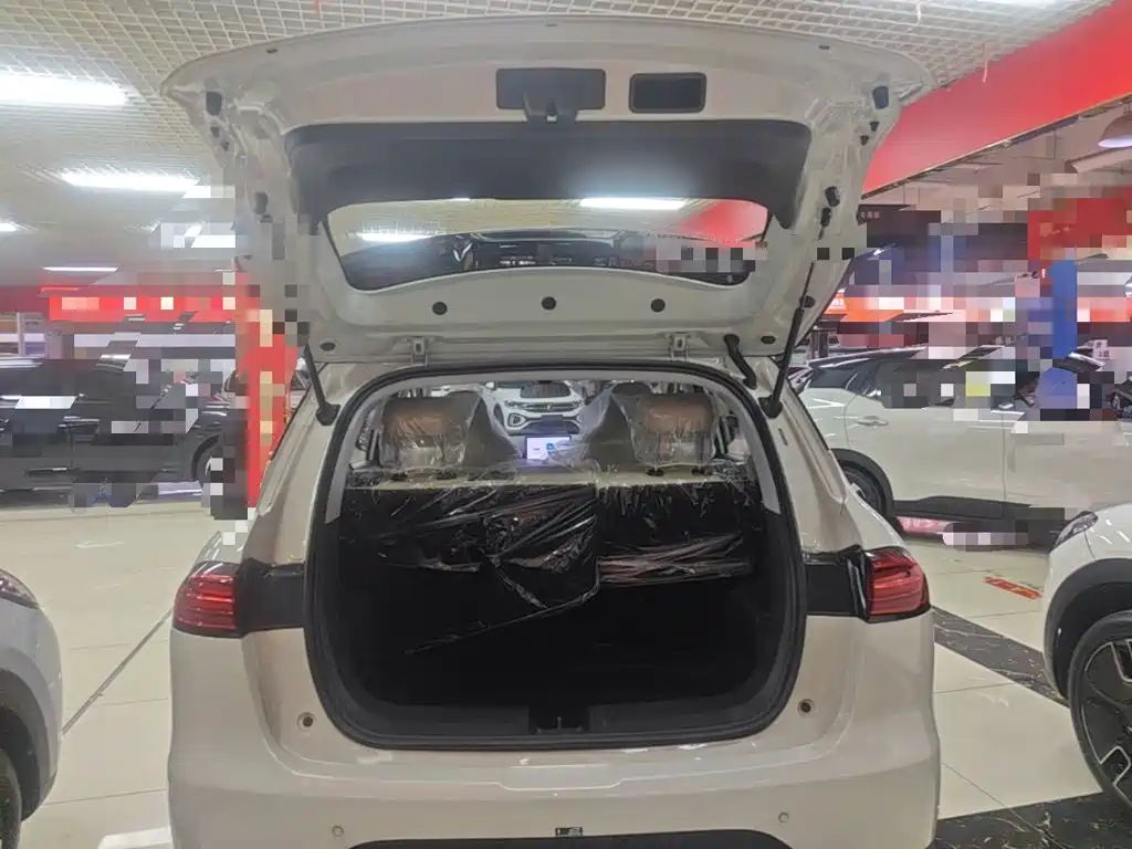 Wuling Motors Wuling Binguo PLUS 2026 2024 401km Range 5-seater