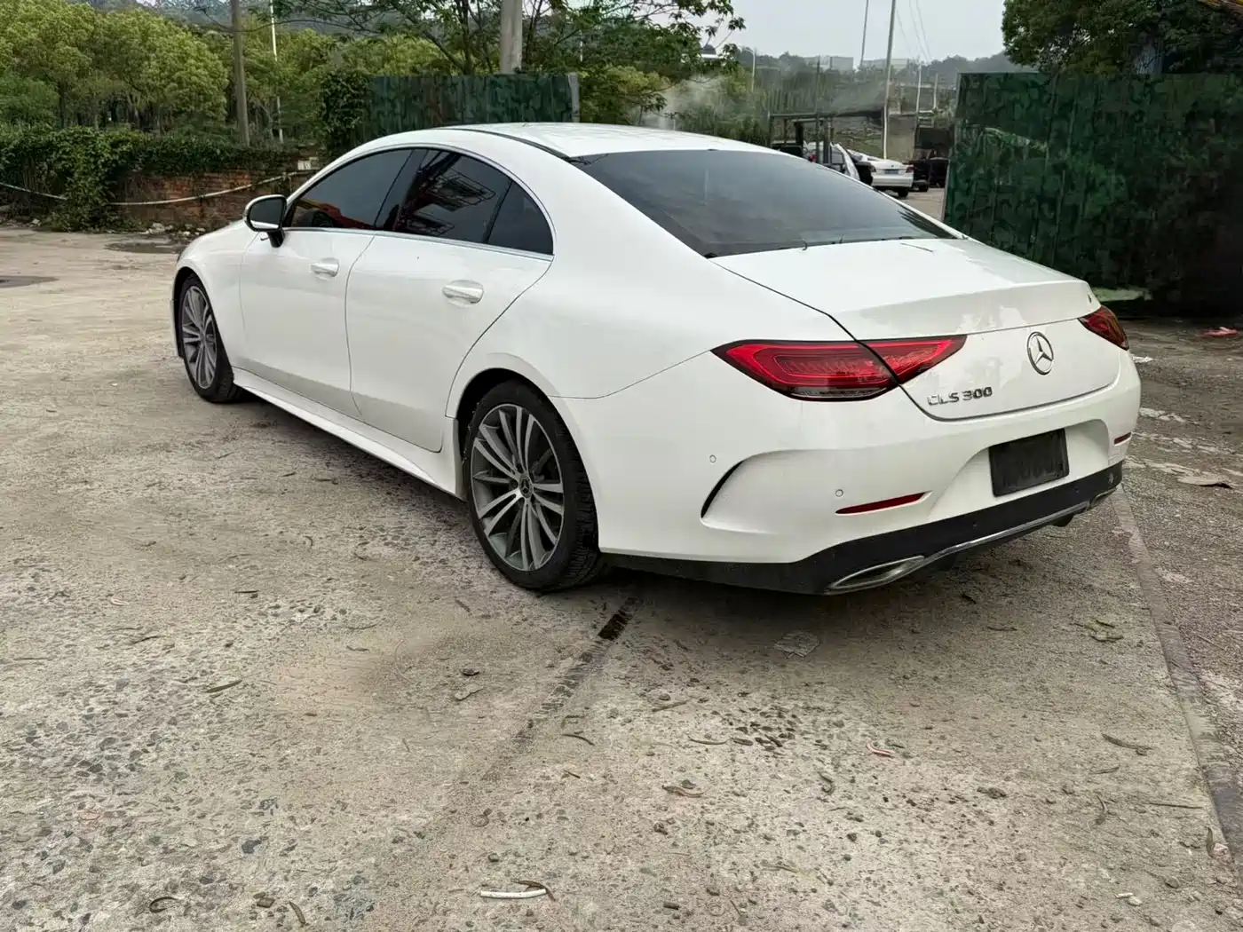 Mercedes-Benz CLS 2020 CLS 300 Dynamic фото 6