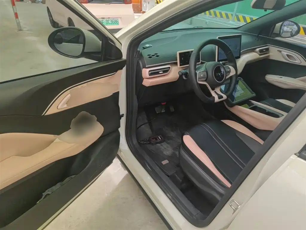 BYD Seagull 2024 Glory Edition 305km Vitality Edition фото 16