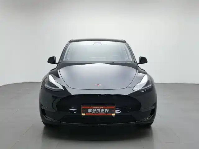 Tesla Model Y 2023 Long Range All-Wheel Drive Edition — фото 3