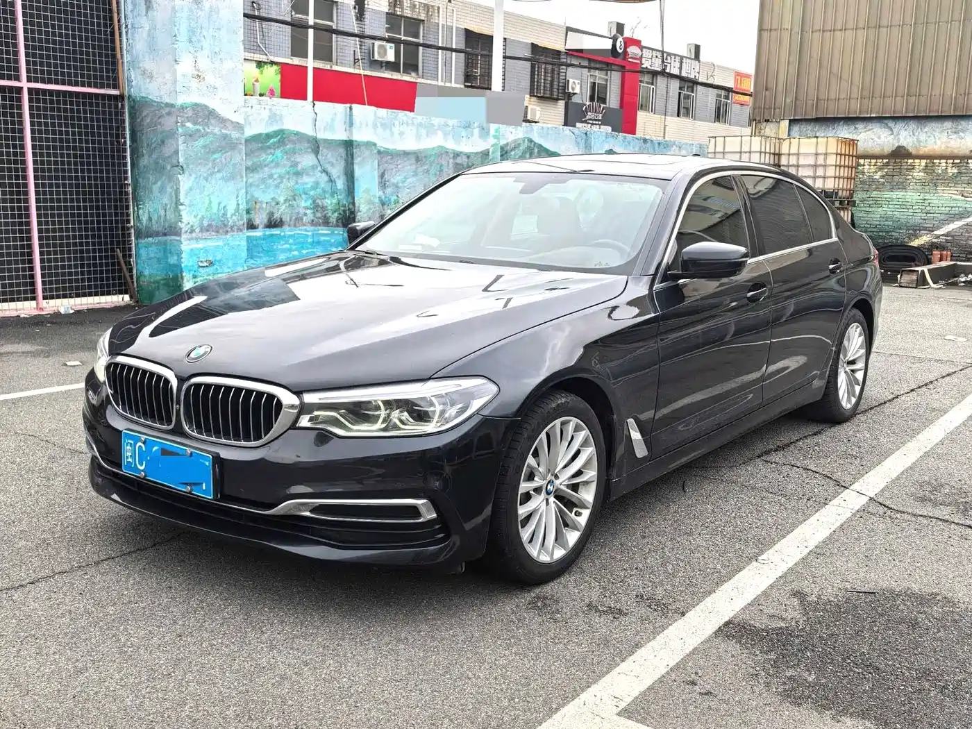 BMW 5 Series 2019 530Li Premium Luxury Package
