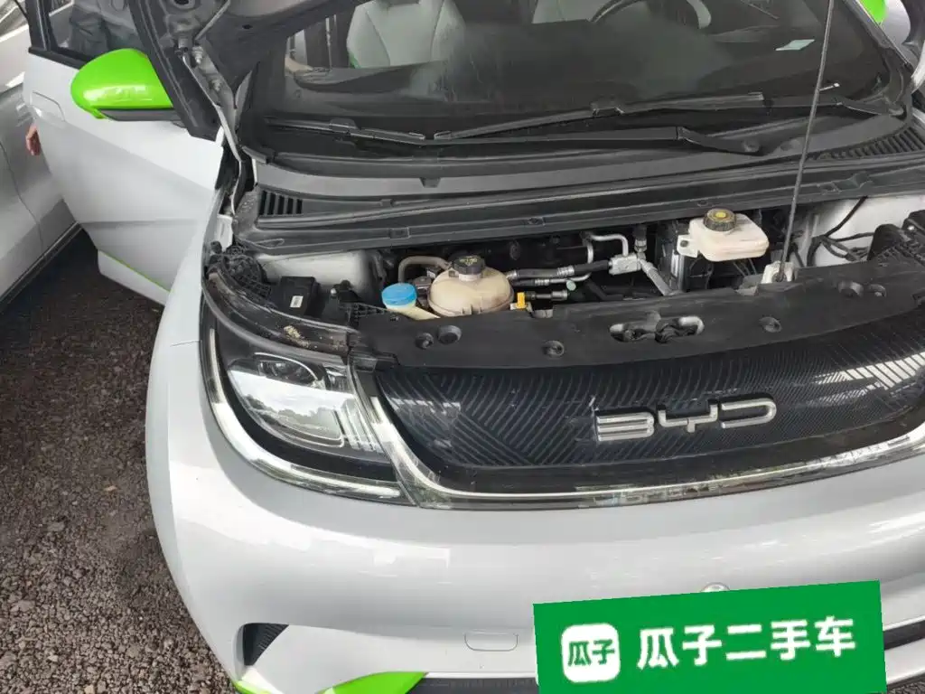 BYD Dolphin 2021 2021 Model 405km Fashion Edition