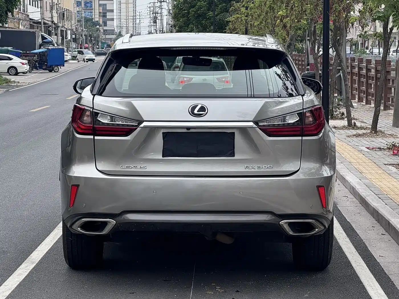 Lexus RX 2016 300 2WD Elite Edition (China V) фото 5