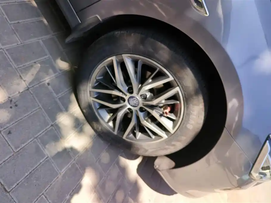 BYD Qin PLUS 2023 Champion Edition DM-i 120KM Leading Type фото 6