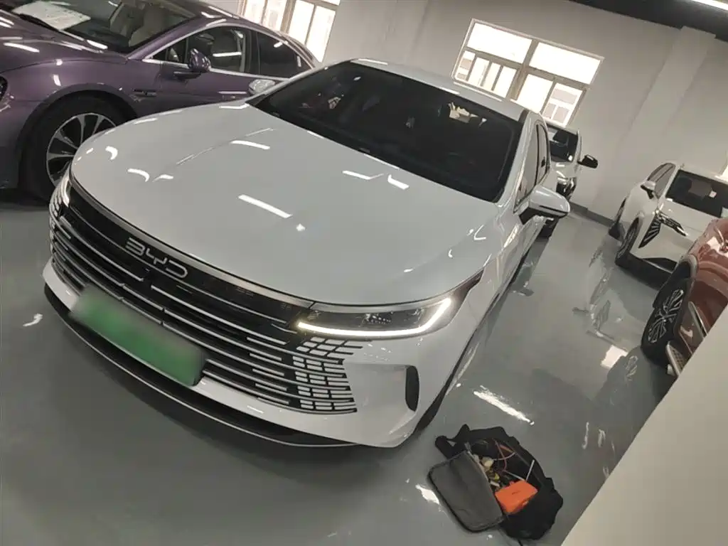 BYD Destroyer 05 2023 Champion Edition DM-i 55KM Luxury