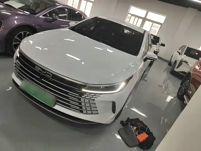  BYD Destroyer 05 2023 Champion Edition DM-i 55KM Luxury