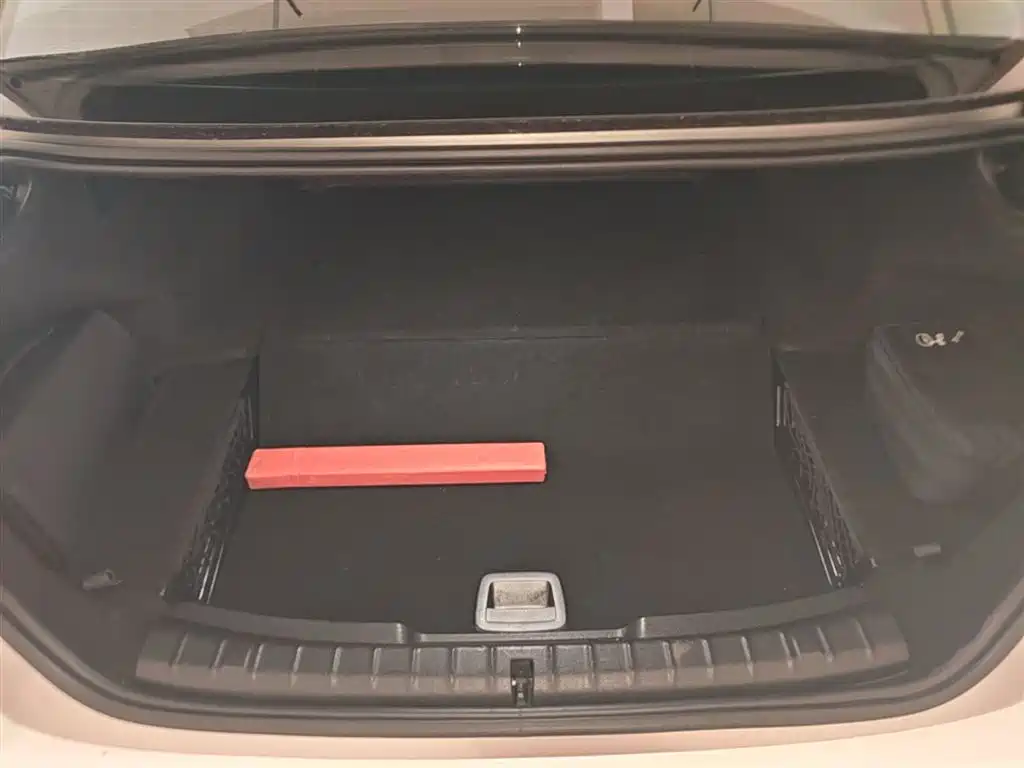 BMW 5 Series New Energy 2020 530Le Range Upgrade Pioneer Edition фото 19