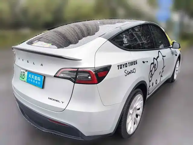 Tesla Model Y 2024 Rear-Wheel Drive Version — фото 2