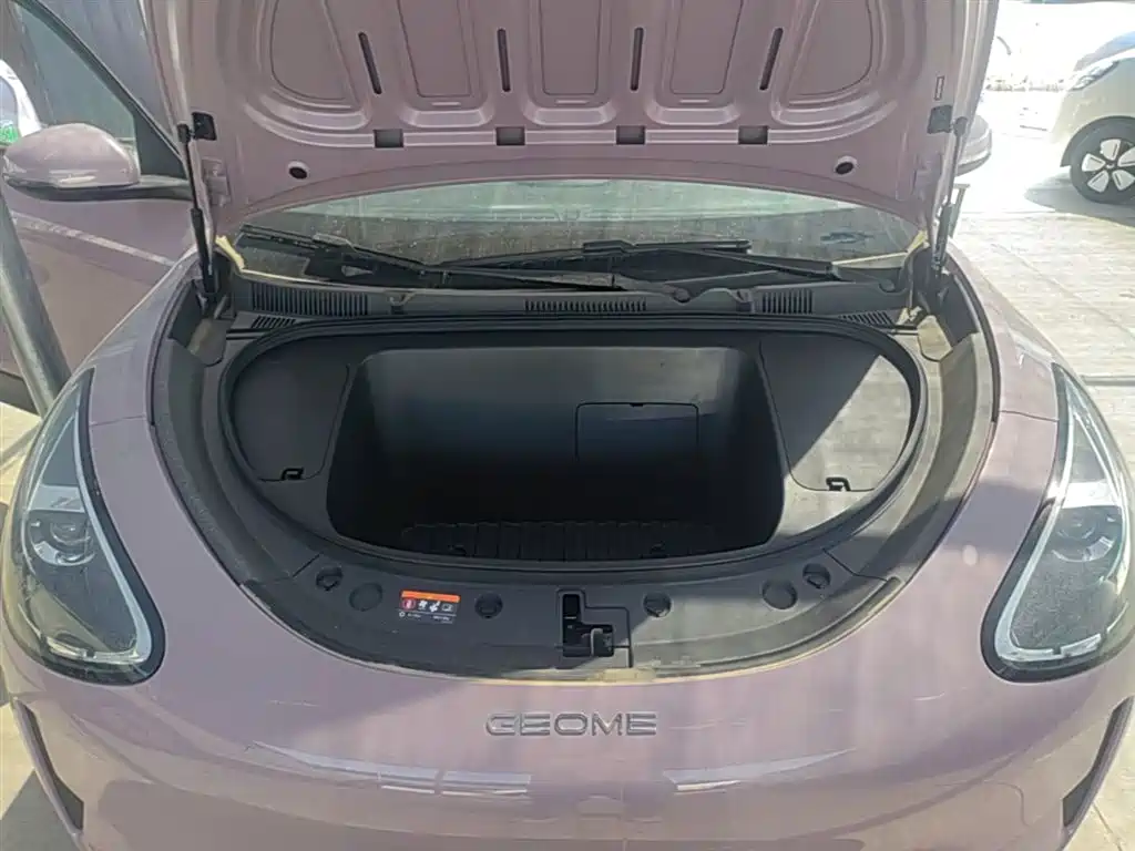 Geely Galaxy Starry Wish 2026 Edition 310km Youth Version фото 20