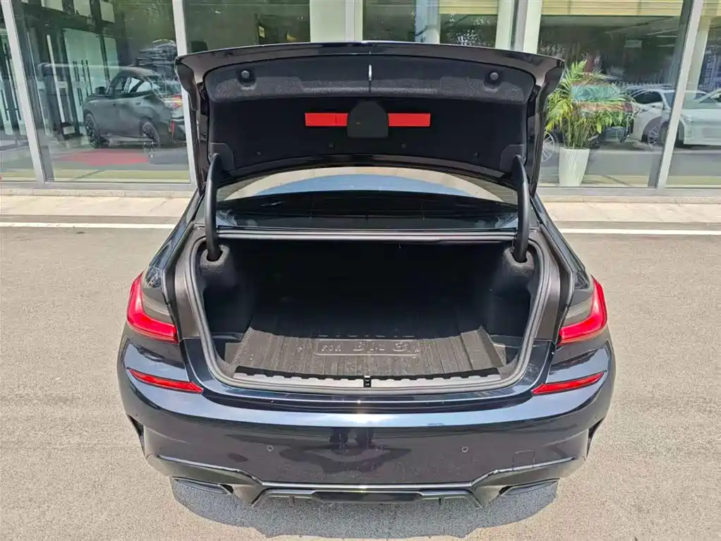 BMW 3 Series 2020 325Li M Sport Black Night Package фото 7