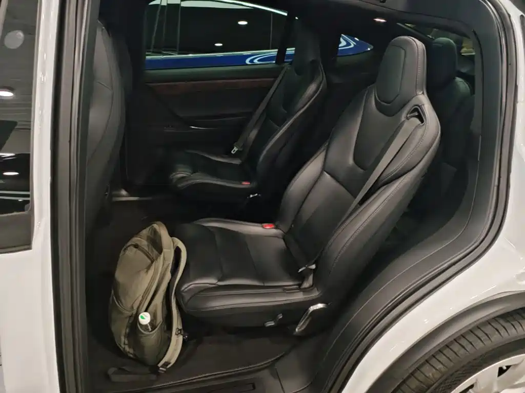 Фото 17 - Tesla Model X