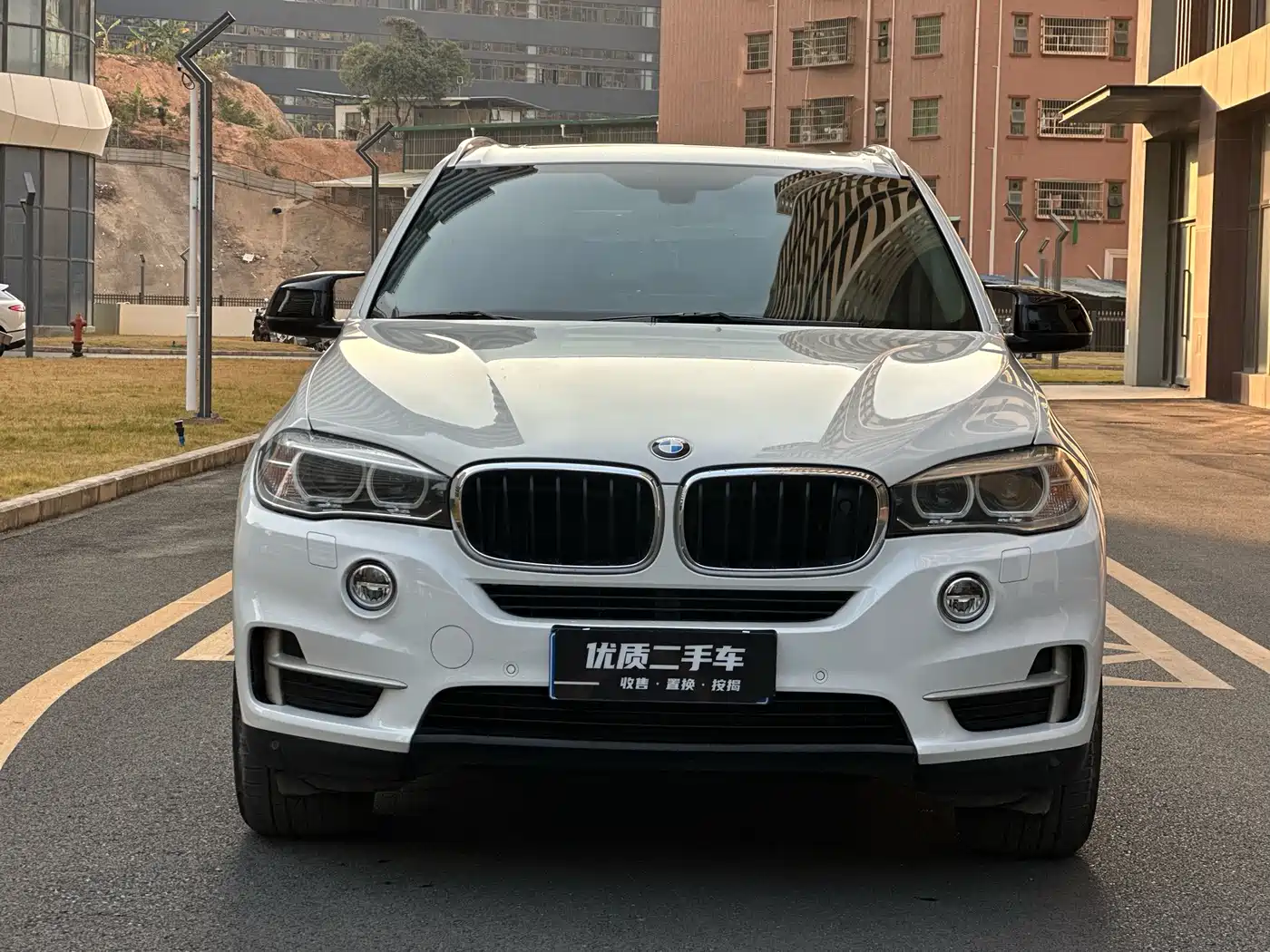 BMW X5 (Import) 2014 xDrive35i Leading фото 2