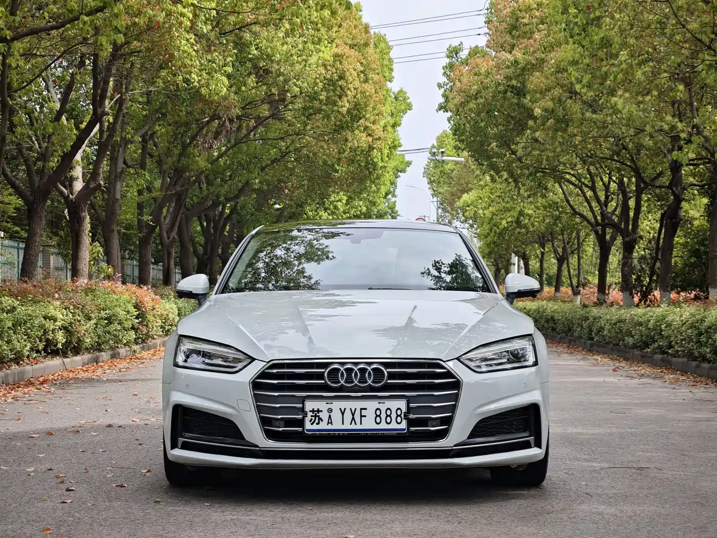 Audi A5 (Import) 2017 Sportback 40 TFSI Fashion фото 2