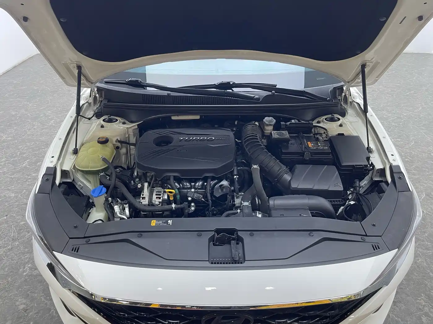 Hyundai Fista 2021 2021 280TGDi DLX Luxury Edition