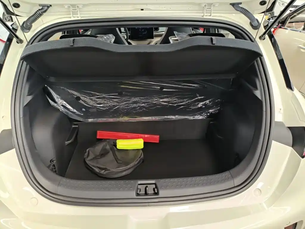 BYD Dolphin 2026 2025 420km Freedom Edition