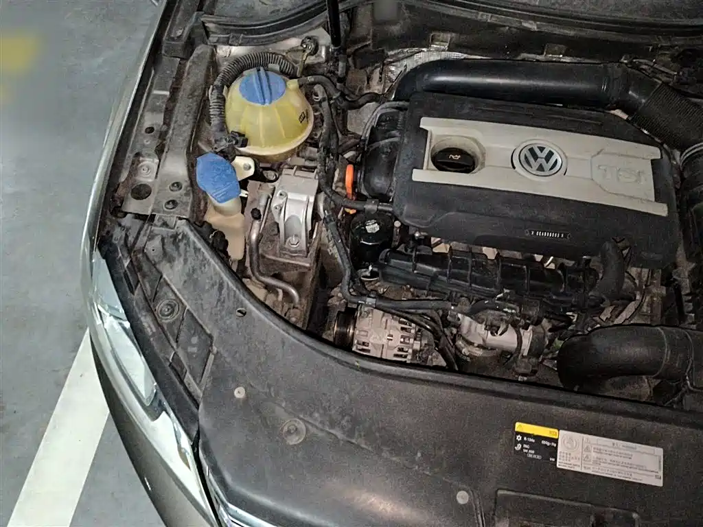 Volkswagen Magotan 2013 1.8TSI Luxury фото 20