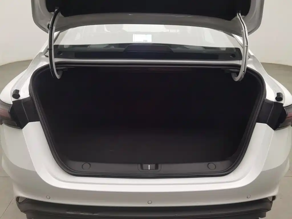 Geely Binrui 2025 2024 Binrui COOL 1.5T DCT Soaring Dragon Edition